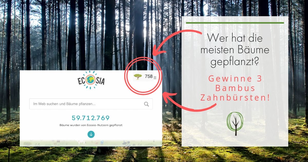 baumfrei – Ecosia statt googeln