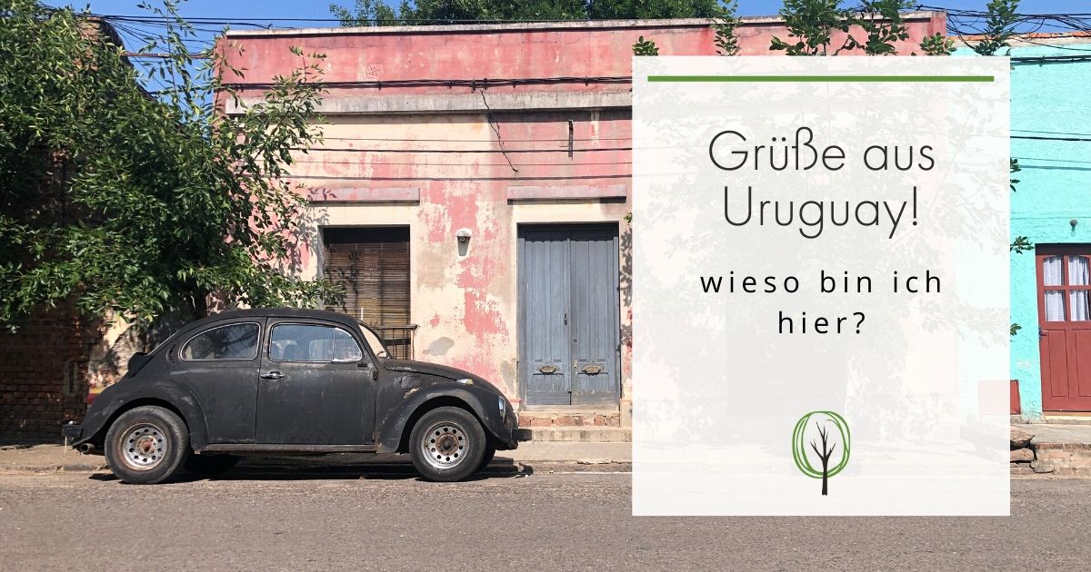 Leben in Uruguay, Haus und Auto